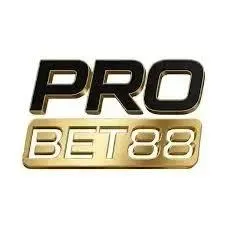 PROBET88 - Aplikasi Flashcard Edukasi Terbaik untuk Belajar